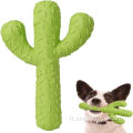 Cactus de jouet de chien en caoutchouc avec jouet à mâcher pour animaux de compagnie